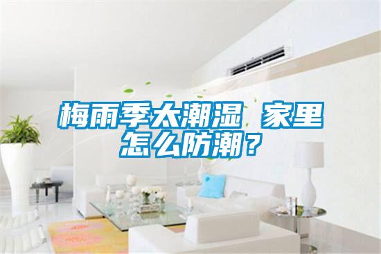 梅雨季太潮濕 家里怎么防潮？