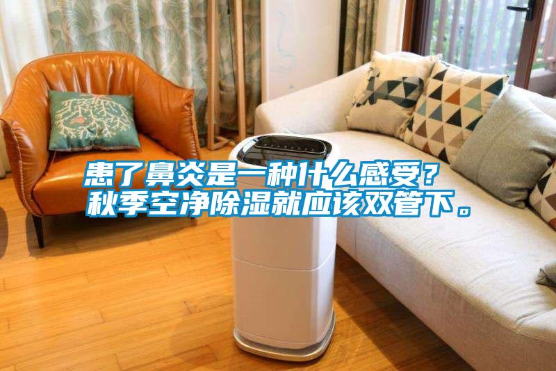 患了鼻炎是一種什么感受？ 秋季空凈除濕就應(yīng)該雙管下。