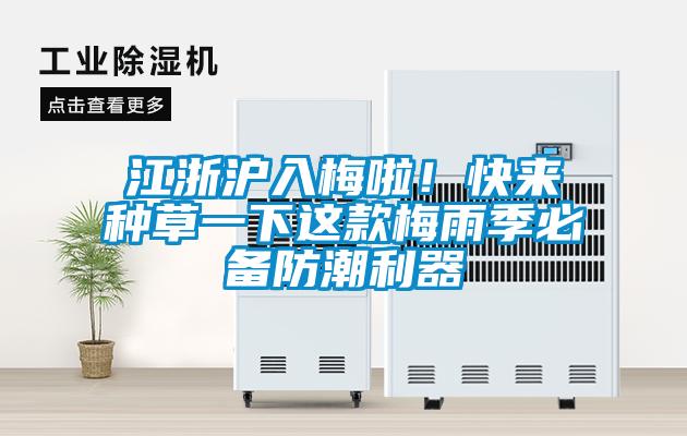 江浙滬入梅啦！快來(lái)種草一下這款梅雨季必備防潮利器