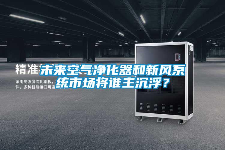 未來空氣凈化器和新風系統(tǒng)市場將誰主沉??？