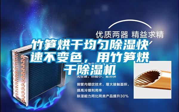 竹筍烘干均勻除濕快速不變色，用竹筍烘干除濕機(jī)