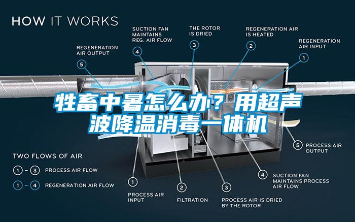 牲畜中暑怎么辦？用超聲波降溫消毒一體機(jī)