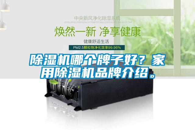 除濕機(jī)哪個(gè)牌子好？家用除濕機(jī)品牌介紹。