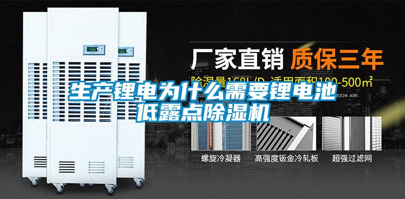 生產(chǎn)鋰電為什么需要鋰電池低露點除濕機(jī)