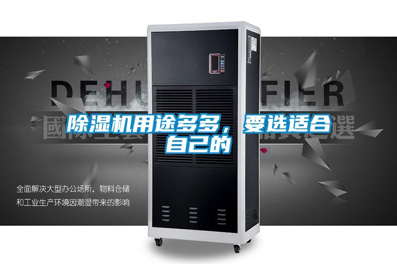 除濕機用途多多，要選適合自己的