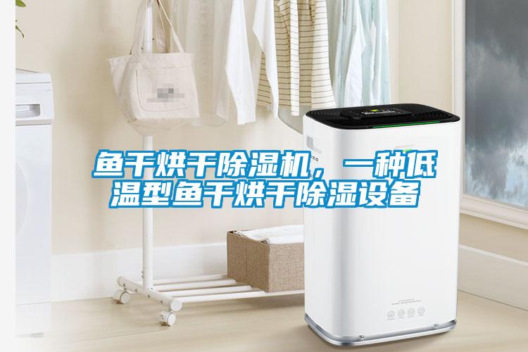 魚干烘干除濕機，一種低溫型魚干烘干除濕設備
