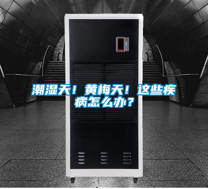 潮濕天！黃梅天！這些疾病怎么辦？