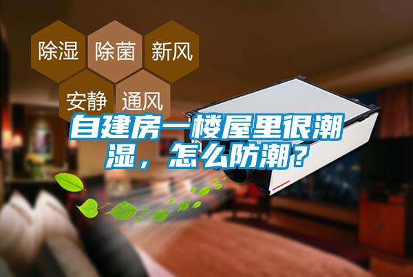 自建房一樓屋里很潮濕，怎么防潮？