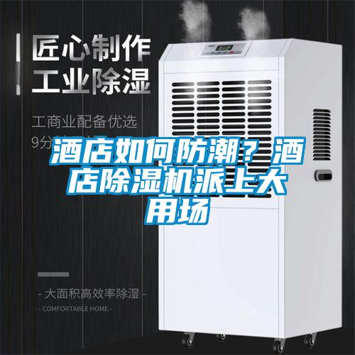 酒店如何防潮？酒店除濕機派上大用場