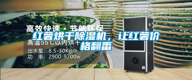 紅薯烘干除濕機(jī)，讓紅薯價格翻番