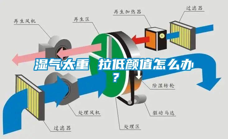 濕氣太重 拉低顏值怎么辦？