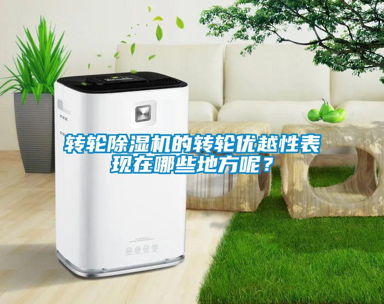 轉(zhuǎn)輪除濕機(jī)的轉(zhuǎn)輪優(yōu)越性表現(xiàn)在哪些地方呢？