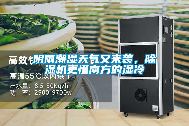 陰雨潮濕天氣又來襲，除濕機更懂南方的濕冷