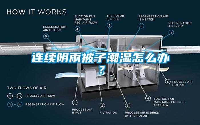 連續(xù)陰雨被子潮濕怎么辦？