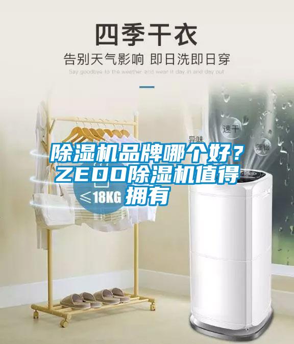 除濕機(jī)品牌哪個(gè)好？ZEDO除濕機(jī)值得擁有
