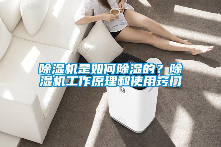 除濕機(jī)是如何除濕的？除濕機(jī)工作原理和使用竅門