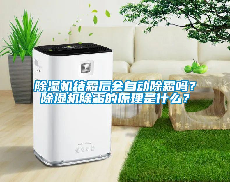 除濕機(jī)結(jié)霜后會自動除霜嗎？除濕機(jī)除霜的原理是什么？
