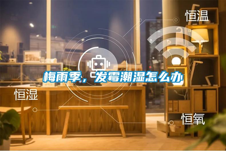 梅雨季，發(fā)霉潮濕怎么辦