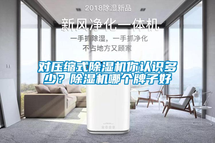 對壓縮式除濕機你認(rèn)識多少？除濕機哪個牌子好