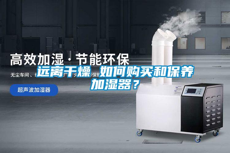 遠(yuǎn)離干燥 如何購(gòu)買和保養(yǎng)加濕器？