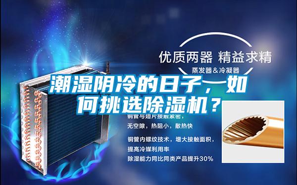 潮濕陰冷的日子，如何挑選除濕機？