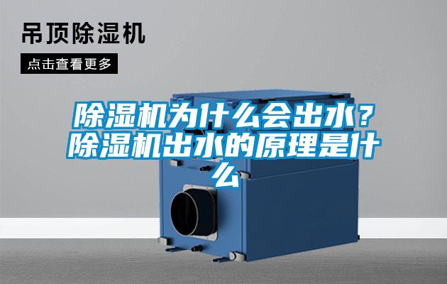 除濕機(jī)為什么會(huì)出水？除濕機(jī)出水的原理是什么