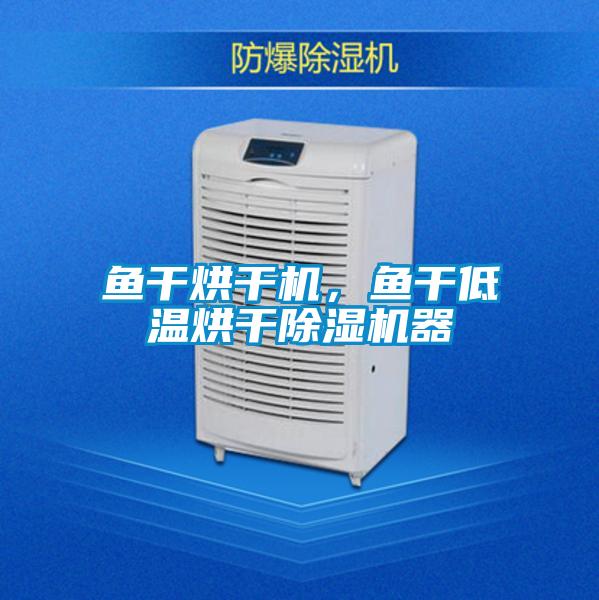 魚干烘干機(jī)，魚干低溫烘干除濕機(jī)器