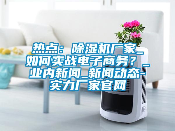 熱點(diǎn)：除濕機(jī)廠家_如何實(shí)戰(zhàn)電子商務(wù)？_業(yè)內(nèi)新聞_新聞動態(tài)-實(shí)力廠家官網(wǎng)
