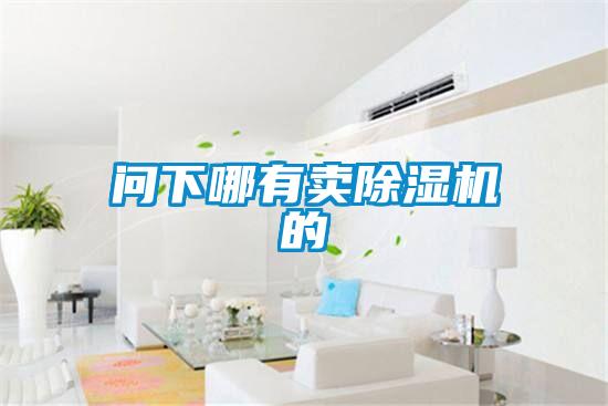 問下哪有賣除濕機(jī)的