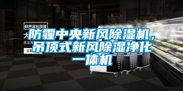 防霾中央新風(fēng)除濕機(jī)，吊頂式新風(fēng)除濕凈化一體機(jī)