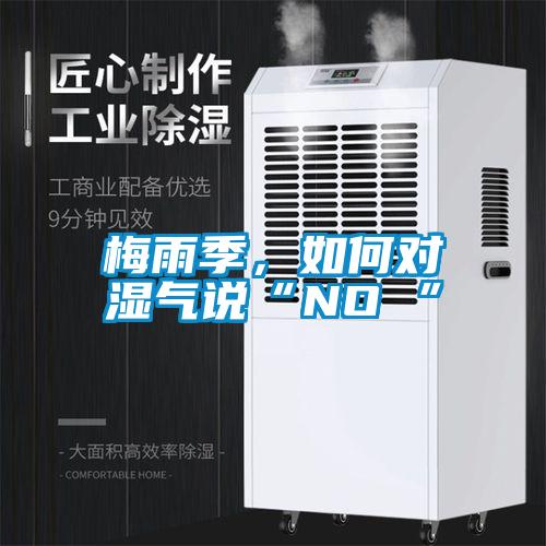梅雨季，如何對濕氣說“NO ”