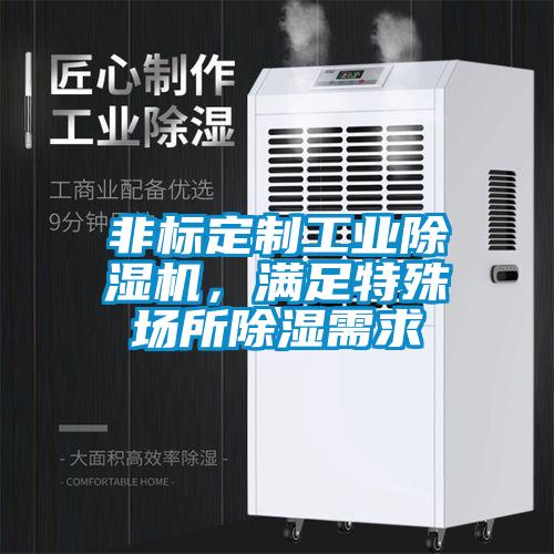 非標(biāo)定制工業(yè)除濕機(jī)，滿足特殊場(chǎng)所除濕需求