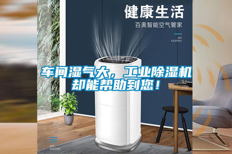 車間濕氣大，工業(yè)除濕機(jī)卻能幫助到您！