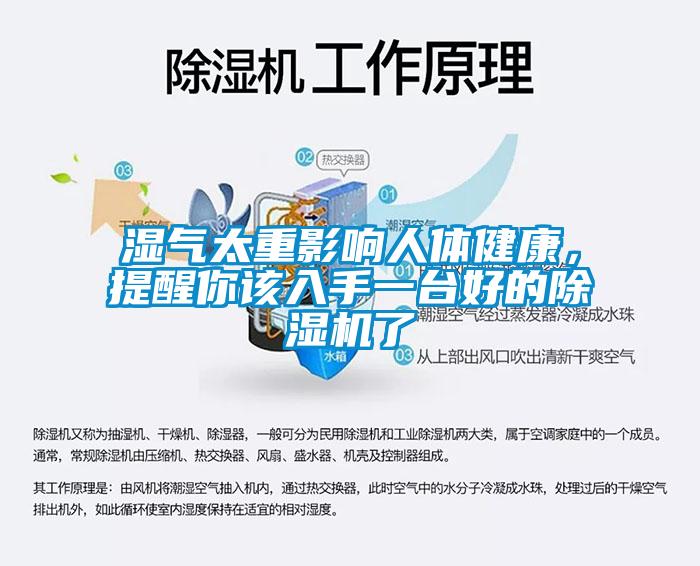 濕氣太重影響人體健康，提醒你該入手一臺(tái)好的除濕機(jī)了