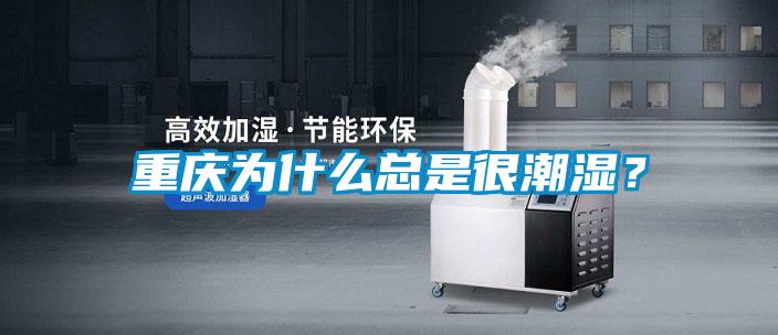 重慶為什么總是很潮濕？