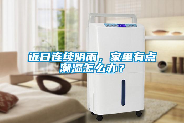 近日連續(xù)陰雨，家里有點(diǎn)潮濕怎么辦？