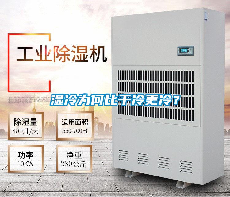 濕冷為何比干冷更冷？