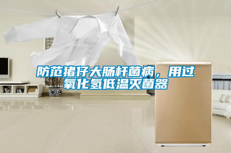 防范豬仔大腸桿菌病，用過氧化氫低溫滅菌器