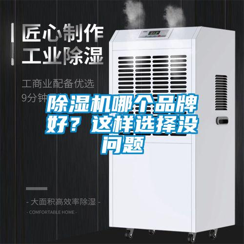 除濕機(jī)哪個(gè)品牌好？這樣選擇沒問題