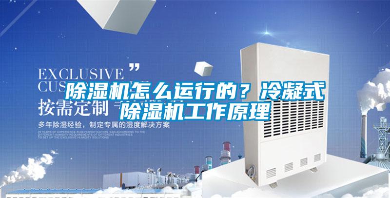 除濕機怎么運行的？冷凝式除濕機工作原理