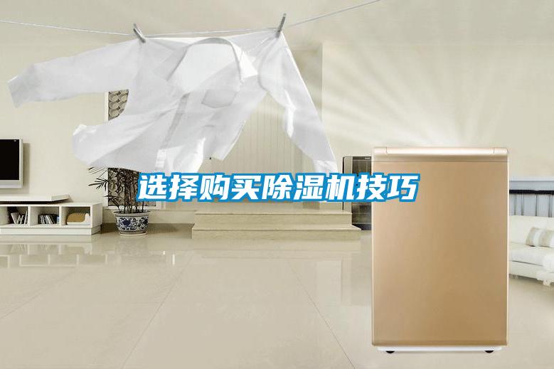 選擇購(gòu)買(mǎi)除濕機(jī)技巧