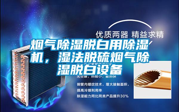 煙氣除濕脫白用除濕機(jī)，濕法脫硫煙氣除濕脫白設(shè)備