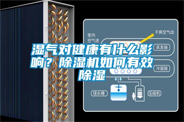 濕氣對(duì)健康有什么影響？除濕機(jī)如何有效除濕
