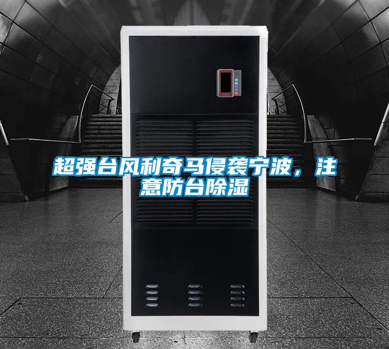 超強(qiáng)臺(tái)風(fēng)利奇馬侵襲寧波，注意防臺(tái)除濕