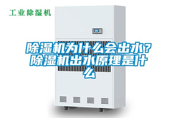 除濕機(jī)為什么會(huì)出水？除濕機(jī)出水原理是什么