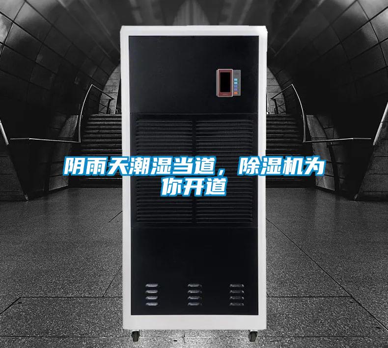陰雨天潮濕當?shù)?，除濕機為你開道