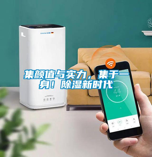 集顏值與實(shí)力，集于一身！除濕新時(shí)代