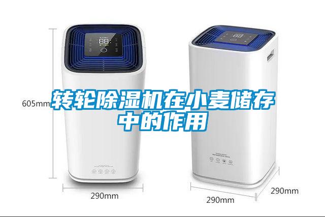 轉(zhuǎn)輪除濕機(jī)在小麥儲存中的作用