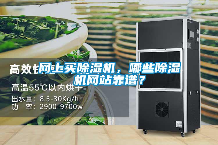 網(wǎng)上買除濕機，哪些除濕機網(wǎng)站靠譜？