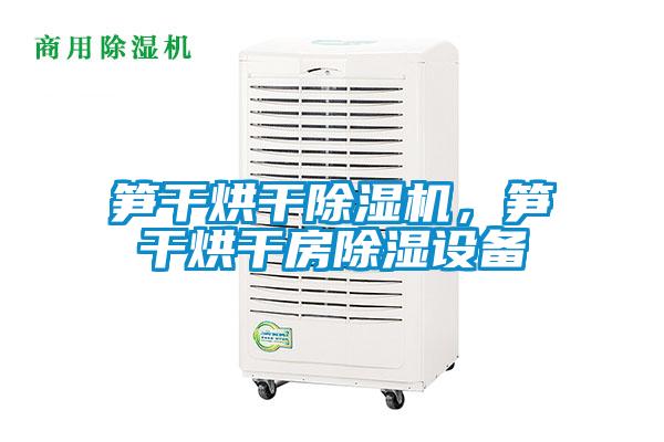 筍干烘干除濕機，筍干烘干房除濕設(shè)備
